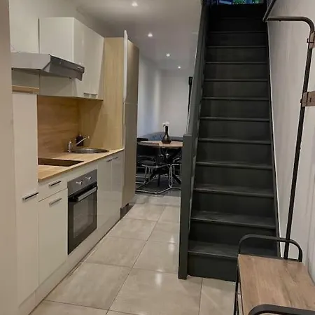 Paisible Duplexe Sur D Ascq Apartmán *