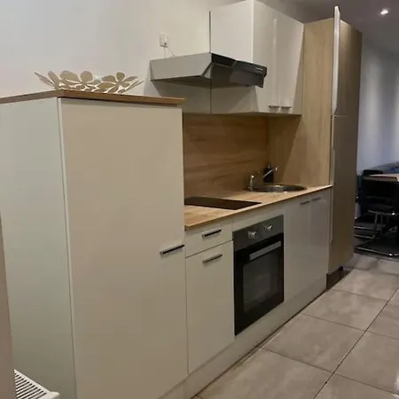 Paisible Duplexe Sur D Ascq *