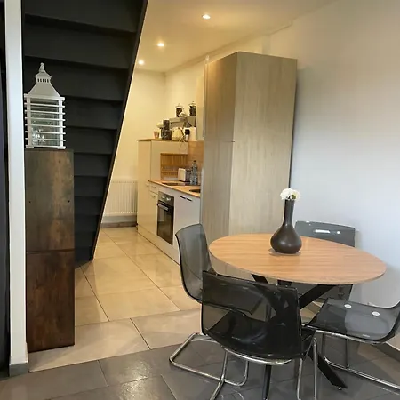 Paisible Duplexe Sur D Ascq * Villeneuve-d'Ascq